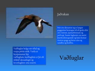 JaðrakanÞeir eru dýraætur og er langur goggurinn hentugur til að grafa eftir æti í leirum, tjarnarbotnum og jarðvegi. Sumir fuglarnir eru meiri þurrlendistegundir og hafa fremur stuttan gogg og fætur eins og sandlóa og heiðlóa.Vaðfuglar helga sér óðul og verpa pörin stök. Varla er kynjamunur hjá vaðfuglum, karlfuglinn er þó oft örlítið skrautlegri og kvenfuglinn smá stærri.Vaðfuglar