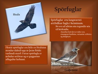 SpörfuglarHrafnSpörfuglar  eru langstærsti ættbálkur fugla í heiminum.Þó svo að aðeins níu tegundir séu til hérlendis.Ástæðan fyrir því er talin vera einangrun landsins, vætusöm veðrátta og skógleysi.Flestir spörfuglar eru litlir en Hrafninn stendur dálítið upp úr þeim flokki varðandi stærð. Fætur spörfugla er nefndur setfótur og er goggurinn aðlagaður fæðunni.Gráþröstur