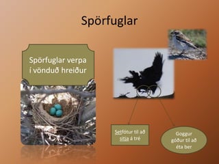 SpörfuglarSpörfuglar verpa í vönduð hreiðurSetfótur til að sitja á tréGoggur góður til að éta ber