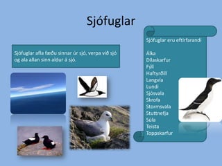 SjófuglarSjófuglar eru eftirfarandiÁlkaDílaskarfurFýllHaftyrðillLangvía LundiSjósvalaSkrofaStormsvalaStuttnefjaSúlaTeistaToppskarfurSjófuglar afla fæðu sinnar úr sjó, verpa við sjó og ala allan sinn aldur á sjó.