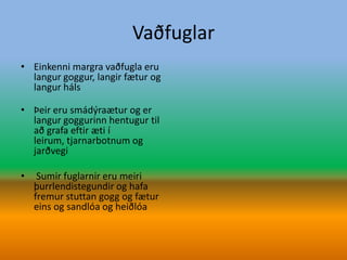 VaðfuglarEinkenni margra vaðfugla eru langur goggur, langir fætur og langur hálsÞeir eru smádýraætur og er langur goggurinn hentugur til að grafa eftir æti í leirum, tjarnarbotnum og jarðvegi Sumir fuglarnir eru meiri þurrlendistegundir og hafa fremur stuttan gogg og fætur eins og sandlóa og heiðlóa