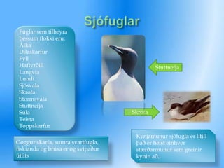 SjófuglarFuglar sem tilheyra þessum flokki eru:ÁlkaDílaskarfurFýllHaftyrðillLangvíaLundiSjósvalaSkrofaStormsvalaStuttnefjaSúlaTeistaToppskarfurStuttnefjaSkrofaKynjamunur sjófugla er lítill það er helst einhver stærðarmunur sem greinir kynin að.Goggur skarfa, sumra svartfugla, fiskianda og brúsa er og svipaður útlits