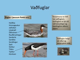 VaðfuglarKynjamunur er lítill hjá vaðfuglum, karlfuglinn er þó oft ívið skrautlegri og kvenfuglinn aðeins stærri. Fuglar í þessum flokki eru:HeiðlóaHrossagaukurJaðrakanLóuþrællÓðinshaniRauðbrystingurSanderlaSandlóaSendlingurSpóiStelkurTildraTjaldurÞórshaniVaðfuglar helga sér óðul og verpa pörin stök. 