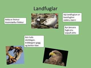 LandfuglarHjá landfuglum er kvenfuglinn nokkru stærriÞetta er fremur ósamstæður flokkurKyn þessara fugla eru svipuð útlitsÞeir hafa sterklegan, krókboginn gogg og beittar klær. 