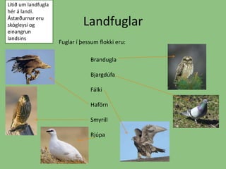 LandfuglarLítið um landfugla hér á landi. Ástæðurnar eru skógleysi og einangrun landsinsFuglar í þessum flokki eru: BranduglaBjargdúfaFálkiHaförnSmyrillRjúpa