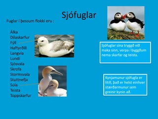 SjófuglarFuglar í þessum flokki eru :Álka DílaskarfurFýllHaftyrðillLangvíaLundiSjósvalaSkrofaStormsvalaStuttnefjaSúlaTeistaToppskarfurSjófuglar sína tryggð við maka sinn, verpa í byggðum nema skarfar og teista. Kynjamunur sjófugla er lítill, það er helst einhver stærðarmunur sem greinir kynin að. 