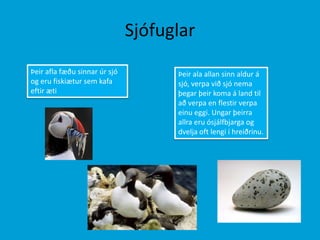 SjófuglarÞeir afla fæðu sinnar úr sjó og eru fiskiætur sem kafa eftir æti  Þeir ala allan sinn aldur á sjó, verpa við sjó nema þegar þeir koma á land til að verpa en flestir verpa einu eggi. Ungar þeirra allra eru ósjálfbjarga og dvelja oft lengi í hreiðrinu. 