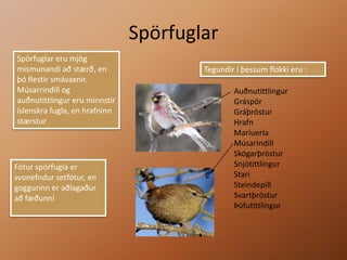 SpörfuglarSpörfuglar eru mjög mismunandi að stærð, en þó flestir smávaxnir. Músarrindill og auðnutittlingur eru minnstir íslenskra fugla, en hrafninn stærsturTegundir í þessum flokki eru :AuðnutittlingurGráspörGráþrösturHrafnMaríuerlaMúsarindillSkógarþrösturSnjótittlingurStariSteindepillSvartþrösturÞúfutittlingurFótur spörfugla er svonefndur setfótur, en goggurinn er aðlagaður að fæðunni
