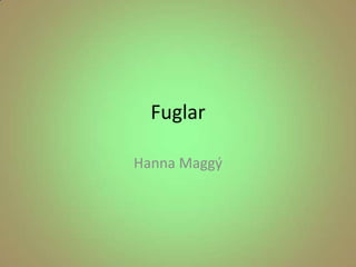 Fuglar Hanna Maggý 