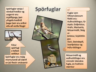 SpörfuglarSpörfuglar verpa í vönduð hreiður og ungarnir eru ósjálfbjarga, þeir yfirgefa hreiðrið þegar þeir eru orðnir eða að verða fleygirFuglar sem tilheyra þessum flokki eru:Auðnutittlingur, Gráspör, Gráþröstur,Hrafn, Maríuerla, Músarrindill, Skógar-þröstur, Snjótittlingur,Stari, Steindepill,Svartþröstur og Þúfu-tittlingurFótur spörfugla kallast setfóturSpörfuglar eru mjög mismunandi að stærð en þó flestir smávaxnir Músarrindill og auðnutittlingur eru minnstir íslenskra fugla, en hrafninn stærstur