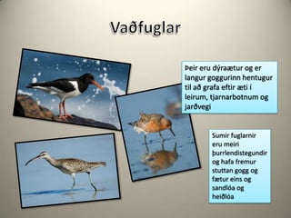 VaðfuglarÞeir eru dýraætur og er langur goggurinn hentugur til að grafa eftir æti í leirum, tjarnarbotnum og jarðvegiSumir fuglarnir eru meiri þurrlendistegundir og hafa fremur stuttan gogg og fætur eins og sandlóa og heiðlóa