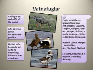 VatnafuglarAndfuglar eru sérhæfðir að lifa á vatniFuglar sem tilheyra þessum flokki eru: Álft, Blesgæs, Duggönd, Flórgoði, Gargönd, Grafönd, Grágæs, Gulönd, Hávella, Heiðagæs, Helsingi, Himbrimi, Hrafnsönd, Húsönd, Lómur, Margæs, Rauðhöfða-önd, Skeiðönd, Skúfönd, Stokkönd, Straumönd, Toppönd, Urtönd og Æðarfugl     Álft, gæsir og sumar buslendur eru grasbítarHluti af fæðu buslanda, svo og fæða kafanda og fiskianda, er úr dýraríkinu