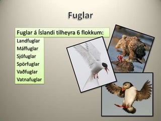 FuglarFuglar á Íslandi tilheyra 6 flokkum: LandfuglarMáffuglarSjófuglarSpörfuglar VaðfuglarVatnafuglar