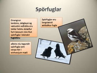 SpörfuglarSpörfuglar eru langstærsti ættbálkur fuglaEinangrun landsins, skógleysi og vætusöm veðrátta eru taldar helstu ástæður fyrir þessum rýra hlut spörfugla í íslenskri fuglafánuaðeins níu tegundir spörfugla sem verpa hér í einhverjum mæli 