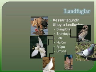 lítið um landfugla eða skógarfugla hér á landi.Ástæðurnar fyrir fæðan í lífríkinu eru skógleysi og einangrun landsins.ósamstæður