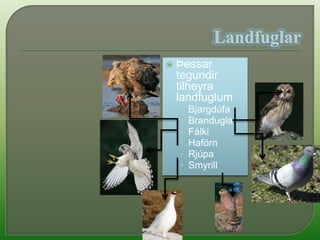 lítið um landfugla eða skógarfugla hér á landi.Ástæðurnar fyrir fæðan í lífríkinu eru skógleysi og einangrun landsins.ósamstæður