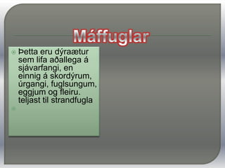 LandfuglRánfuglar og uglur hafa sterklegan, krókboginn gogg og beittar klærKyn þessara fugla eru svipuð útlits, hjá ránfuglum og uglum er þó kvenfuglinn nokkru stærri og yfirleitt er auðvelt að kyngreina rjúpurgoggur 