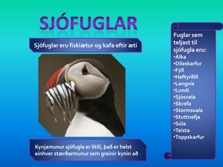 Einangrun landsinsFuglar sem flokkast til landfugla eru:Bjargdúfa