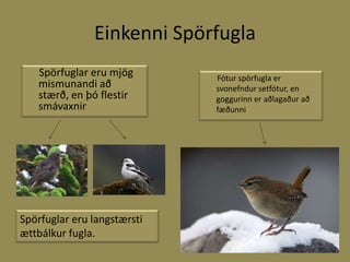 Einkenni SpörfuglaSpörfuglar eru mjög mismunandi að stærð, en þó flestir smávaxnir        Fótur spörfugla er svonefndur setfótur, en goggurinn er aðlagaður að fæðunniSpörfuglar eru langstærsti ættbálkur fugla.