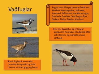 VaðfuglarFuglar sem tilheyra þessum flokki eru Heiðlóa, Hrossagaukur, Jaðrakan, Lóuþræll, Óðinshani, Rauðbrystingur, Sanderla, Sandlóa, Sendlingur, Spói, Stelkur, Tildra, Tjaldur, Þórshani     Þeir eru dýraætur og er langur goggurinn hentugur til að grafa eftir æti í leirum, tjarnarbotnum og jarðvegi     Sumir fuglarnir eru meiri þurrlendistegundir og hafa fremur stuttan gogg og fætur