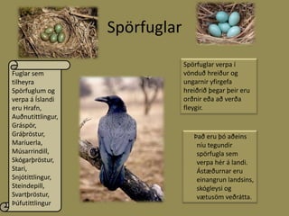 SpörfuglarSpörfuglar verpa í vönduð hreiður og ungarnir yfirgefa hreiðrið þegar þeir eru orðnir eða að verða fleygir.Fuglar sem tilheyra Spörfuglum og verpa á Íslandi eru Hrafn, Auðnutittlingur, Gráspör, Gráþröstur, Maríuerla, Músarrindill, Skógarþröstur, Stari, Snjótittlingur, Steindepill, Svartþröstur, Þúfutittlingur     Það eru þó aðeins níu tegundir spörfugla sem verpa hér á landi. Ástæðurnar eru  einangrun landsins, skógleysi og vætusöm veðrátta.