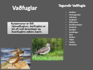 Tegundir VaðfuglaVaðfuglarHeiðlóaHrossagaukarJaðrakanLóuþrællÓðinshaniRauðbrystingurSanderlaSandlóaSendlingurSpóiStelkurTildraTjaldurÞórshani    Kynjamunur er lítill hjávaðfuglum, karlfuglinn er þó oft ívið skrautlegri og kvenfuglinn aðeins stærri.