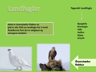 LandfuglarTegundir LandfuglaBjargdúfaBranduglaFálkiHaförnRjúpaSmyrillÞetta er ósamstæður flokkur enþað er afar lítið um landfugla hér á landi. Ástæðurnar fyrir því er skógleysi og einangrun landsinsÓsamstæður flokkur