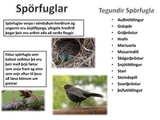 SpörfuglarTegundirSpörfuglaAuðntittlingurGráspörGráþrösturHrafnMaríuerlaMúsarindill SkógarþrösturSnjótittlingurStariSteindepillSvartþrösturþúfutittlingurSpörfuglar verpa í vönduðum hreiðrum og ungarnir eru ósjálfbjarga, yfirgefa hreiðrið þegar þeir eru orðnir eða að verða fleygir. Fótur spörfugla sem kallast setfótur þá eru þeir með þrjá fætur sem snúa fram og einn sem snýr aftur til þess að læsa klónum um greinar