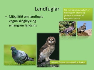 LandfuglarHjá ránfuglum og uglum er kvenfuglinn  stærri og yfirleitt er auðvelt að kyngreina rjúpur.Mjög lítið um landfugla vegna skógleysi og einangrun landsinsÞetta er fremur ósamstæður flokkur