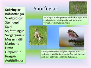 Spörfuglar Spörfuglar:ÞúfutittlingurSvartþrösturSteindepill StariSnjótittlingurSkógargaukurMúsarrindillMaríuerlaHrafnGráþrösturÞráspörAuðtittlingurSpörfuglar eru langstærsti ættbálkur fugla. Það eru þó aðeins níu tegundir spörfugla sem verpa hér í einhverjum mæli. Einangrun landsins, skógleysi og vætusöm veðrátta eru taldar helstu ástæður fyrir þessum rýra hlut spörfugla í íslenskri fuglafánu.