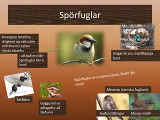 SpörfuglarEinangrun landsins, skógleysi og vætusöm veðrátta eru taldar helstu ástæðurÞeir hafa vönduð hreiður Ungarnir eru ósjálfbjarga fyrst - að það eru fáir Spörfuglar hér á landiSpörfuglar eru mismunandi, flestir þó smáirMinnstu íslensku fuglarnir SetfóturGoggurinn er aðlagaður að fæðunni  Auðnutittlingur       Músarrindill