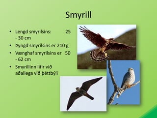 Smyrill Lengd smyrilsins:            25 - 30 cmÞyngd smyrilsins er 210 gVænghaf smyrilsins er   50 - 62 cmSmyrillinn lifir við aðallega við þéttbýli 