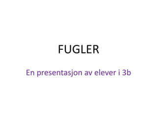 FUGLER En presentasjon av elever i 3b 