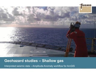 Geohazard studies – Shallow gas 
Interpreted seismic data – Amplitude Anomaly workflow for ArcGIS  