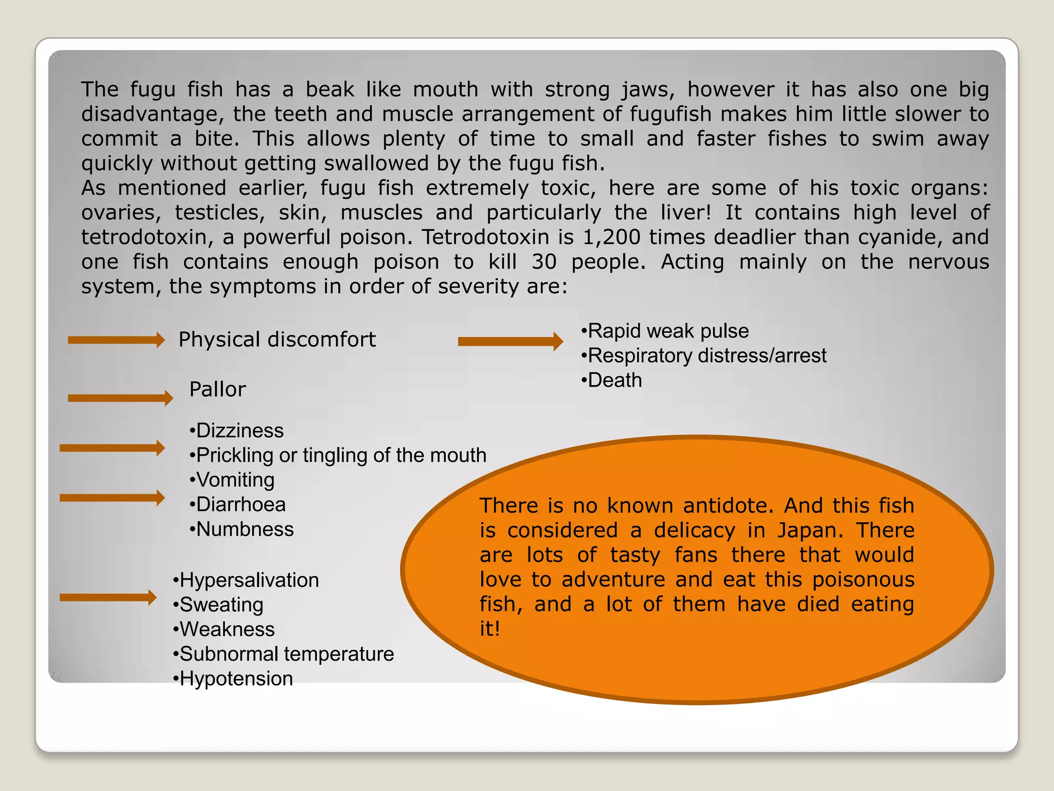 The fugu fish has a beak like mouth with strong jaws, however it has also one big
disadvantage, the teeth and muscle arrangement of fugufish makes him little slower to
commit a bite. This allows plenty of time to small and faster fishes to swim away
quickly without getting swallowed by the fugu fish.
As mentioned earlier, fugu fish extremely toxic, here are some of his toxic organs:
ovaries, testicles, skin, muscles and particularly the liver! It contains high level of
tetrodotoxin, a powerful poison. Tetrodotoxin is 1,200 times deadlier than cyanide, and
one fish contains enough poison to kill 30 people. Acting mainly on the nervous
system, the symptoms in order of severity are:
Physical discomfort
Pallor

•Rapid weak pulse
•Respiratory distress/arrest
•Death

•Dizziness
•Prickling or tingling of the mouth
•Vomiting
•Diarrhoea
There is no known antidote. And this fish
•Numbness
is considered a delicacy in Japan. There
are lots of tasty fans there that would
love to adventure and eat this poisonous
•Hypersalivation
fish, and a lot of them have died eating
•Sweating
it!
•Weakness
•Subnormal temperature
•Hypotension

 