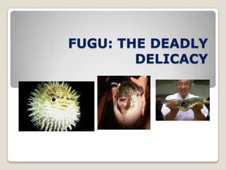 FUGU: THE DEADLY
DELICACY

 
