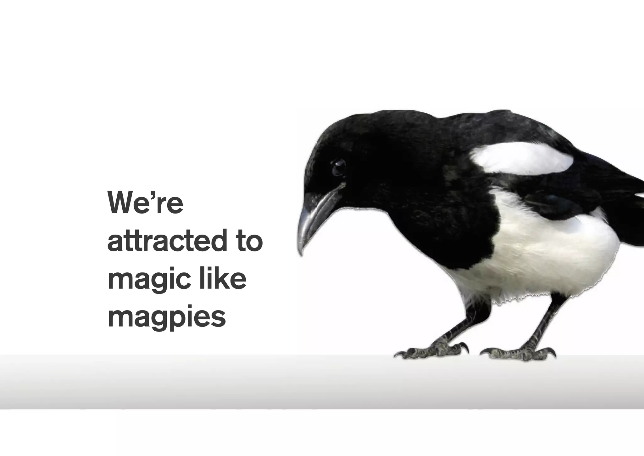 We’re
attracted to
magic like
magpies
 