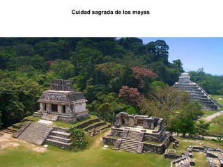 Cuidad sagrada de los mayas
 