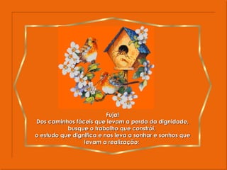 Fuja! Dos caminhos fáceis que levam a perda da dignidade, busque o trabalho que constrói,  o estudo que dignifica e nos leva a sonhar e sonhos que levam a realização;  