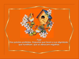 Fuja! Das paixões proibidas. Daquelas que ferem a sua dignidade, que humilham, que só oferecem migalhas. 