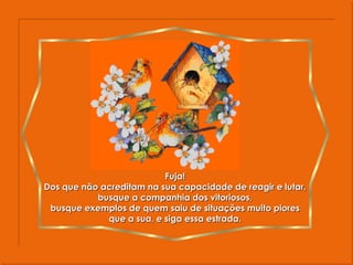 Fuja! Dos que não acreditam na sua capacidade de reagir e lutar, busque a companhia dos vitoriosos, busque exemplos de quem saiu de situações muito piores que a sua, e siga essa estrada. 