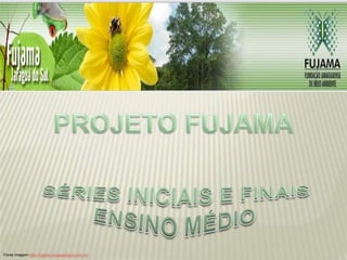 Fonte imagem:http://fujama.jaraguadosul.com.br/
 