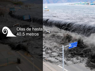 Olas de hasta
40.5 metros
 