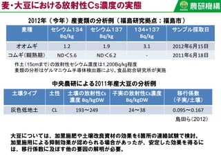 麦・大豆における放射性Ｃｓ濃度の実態
土壌タイプ 土性 土壌の放射性Cs
濃度 Bq/kgDW
子実の放射性Cs濃度
Bq/kgDW
移行係数
（子実/土壌）
灰色低地土 CL 193〜249 24〜38 0.095〜0.167
中央農研による2011年産大豆の分析例
島田ら（2012）
2012年（今年）産麦類の分析例（福島研究拠点；福島市）
麦種 セシウム１３４
Bq/kg
セシウム１３７
Bq/kg
１３４+１３７
Bq/kg
サンプル採取日
オオムギ 1.2 1.9 3.1 2012年6月15日
コムギ（糊熟期） ND＜5.6 ND＜6.2 - 2011年6月18日
作土（15cmまで）の放射性セシウム濃度は1,200Bq/kg程度
麦類の分析はゲルマニウム半導体検出器により、食品総合研究所が実施
大豆については、加里施肥や土壌改良資材の効果を6箇所の連絡試験で検討。
加里施用による抑制効果が認められる場合があったが、安定した効果を得るに
は、移行係数に及ぼす他の要因の解明が必要。
 