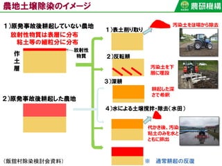 農地土壌除染のイメージ
１）原発事故後耕起していない農地
放射性
物質
放射性物質は表層に分布
粘土等の細粒分に分布
１）表土削り取り
２）反転耕作
土
層
３）深耕
耕起した深
さで希釈
汚染土を下
層に埋設
汚染土をほ場から除去
４）水による土壌撹拌・除去（水田）
代かき後、汚染
粘土のみを水と
ともに排出
２）原発事故後耕起した農地
※ 通常耕起の反復（飯舘村除染検討会資料）
 