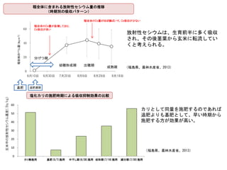 0
20
40
60
6/10 6/30 7/20 8/9 8/29 9/18
稲全体に含まれる放射性セシウム量の推移
（時期別の吸収パターン）
基肥 追肥適期
分げつ期
幼穂形成期 出穂期
成熟期
稲全体の137Cs量（Bqm-2）
稲全体のCs量が急増しており、
Cs吸収が多い
放射性セシウムは、生育前半に多く吸収
され、その後茎葉から玄米に転流してい
くと考えられる。
稲全体のCs量がほぼ横ばいで、Cs吸収が少ない
6月10日 6月30日 7月20日 8月9日 8月29日 9月18日
0
10
20
30
40
50
60
カリ無施用 基肥(5/7)施用 中干し期(6/28)施用 幼形期(7/19)施用 減分期(7/30)施用
玄米中の放射性セシウム濃度（Bq/kg）
塩化カリの施肥時期による吸収抑制効果の比較
カリとして同量を施肥するのであれば
追肥よりも基肥として、早い時期から
施肥する方が効果が高い。
（福島県、農林水産省、2013）
（福島県、農林水産省、2013）
 