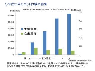 農業総合センター内の土壌（灰色低地土）を用いたポット栽培では、土壌の放射性
セシウム濃度が60,000Bq/kgを超えても、玄米濃度は100Bq/kgを超えなかった。
0
100
200
300
400
500
0
10,000
20,000
30,000
40,000
50,000
60,000
土壌濃度
玄米濃度
放射性セシウム濃度の異なる灰色低地土で栽培した水稲の玄米濃度
土壌濃度(Bq/kg) 玄米濃度(Bq/kg)
土壌の濃度低 高
○平成23年のポット試験の結果
（福島県農業総合センター、2011）
 