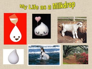 My Life as a Milkdrop  