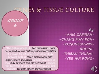 GENES & TISSUE CULTURE
By:
-ANIS ZAFIRAH-
-CHANG MAY POH-
-KUGUNESHWRY-
-ROHINI-
-THIBAN THURAI-
-YEE HUI RONG-
GROUP
6
“The culture of cells in two dimensions does
not reproduce the histological characteristics
of a tissue for informative or useful study.
Growing cells as three-dimensional (3D)
models more analogous to their existence in
vivo may be more clinically relevant. Discuss
the potential of using three dimensional cell
cultures for anti-cancer drug screening”.
 