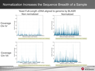 Normalization Increases the Sequence Breadth of a Sample
10
Normalized
Non normalized
Yeast Full-Length cDNA aligned to genome by BLASR
Coverage
Chr IV
Coverage
Chr VII
 